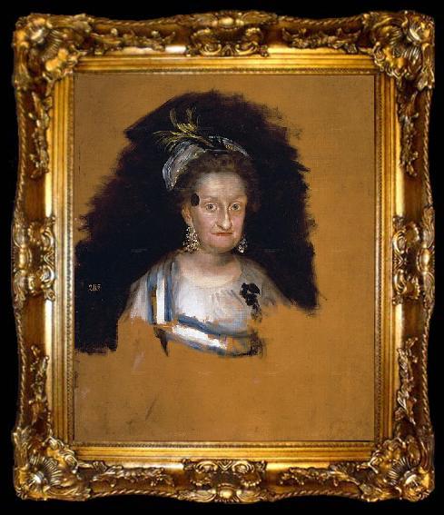 framed  Francisco de Goya hermana de Carlos III, ta009-2